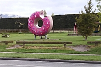 1014_Playground Donut.jpg