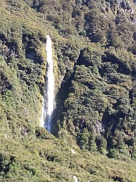 1018_Doubtful Sound Waterfall.jpg