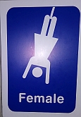 1019_Female wheelchair.jpg